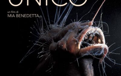 Corpo unico