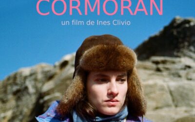 Foutu Cormoran