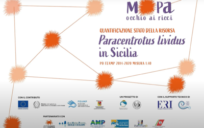 MO.PA – OCCHIO AI RICCI
