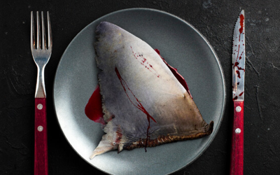 SHARK PREYED